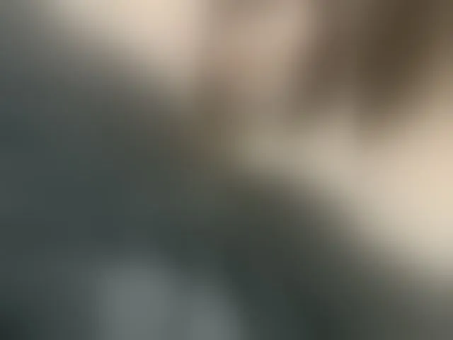 Live sex webcam photo for Jackveb #276321475