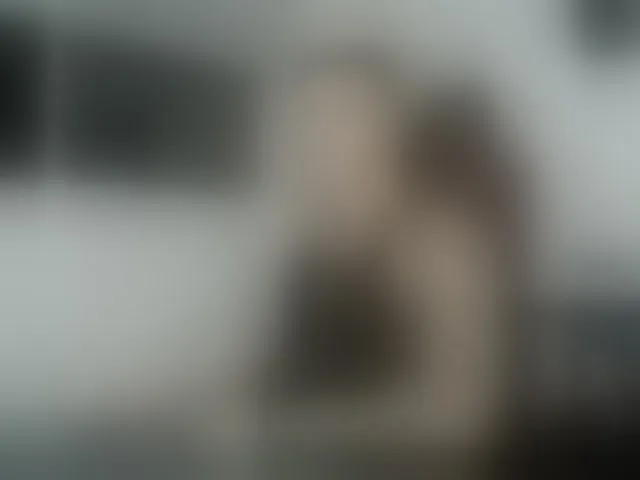 Live sex webcam photo for Jacob-fireexx #292603253