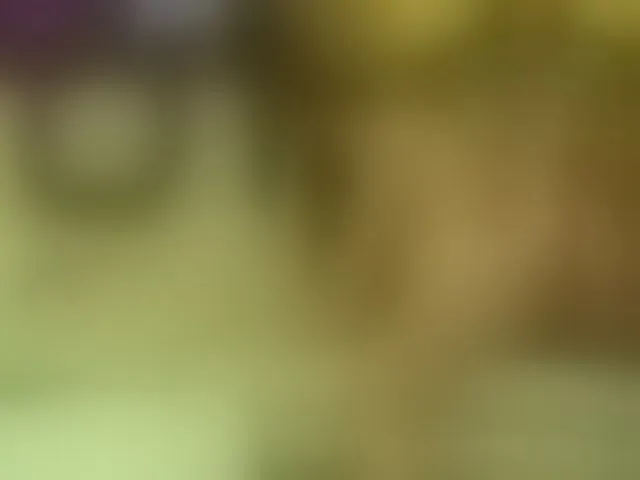 Live sex webcam photo for JadeandDamon #293196130