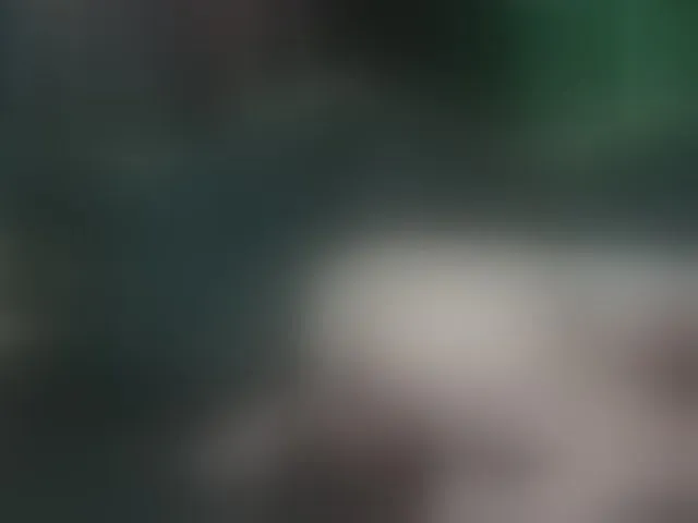 Live sex webcam photo for JadeandDamon #294028100