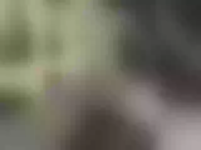 Live sex webcam photo for Jakjay #277174563
