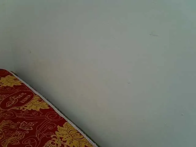 Live sex webcam photo for Jakwinfreds #277346467