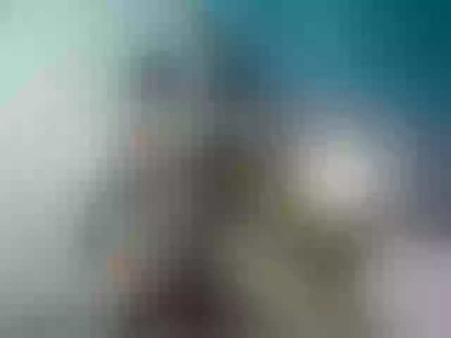 Live sex webcam photo for Jan-Flp #277287855