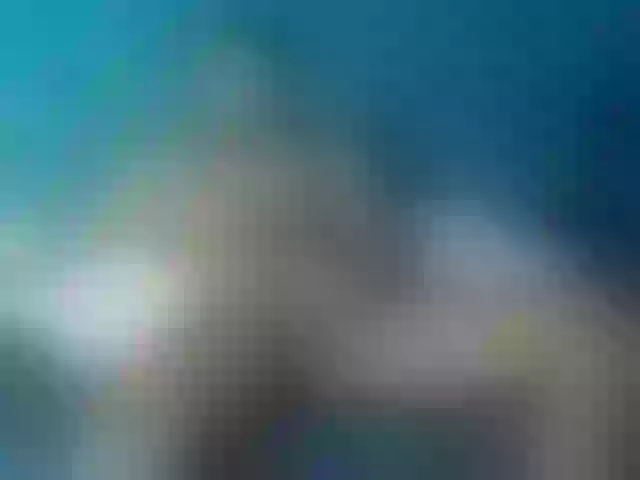 Live sex webcam photo for Jan-Flp #277425356