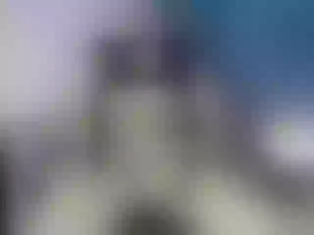 Live sex webcam photo for Jan-Flp #277472570