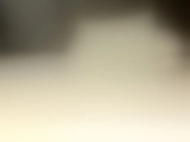 Live sex webcam photo for Jan-Flp #293502890