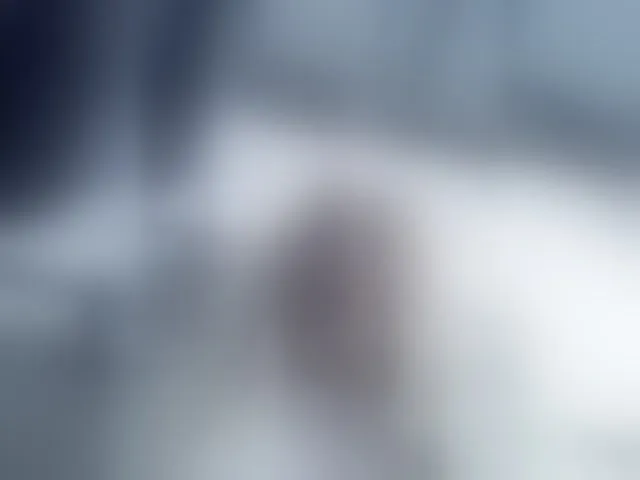 Live sex webcam photo for Janchi- #292543895