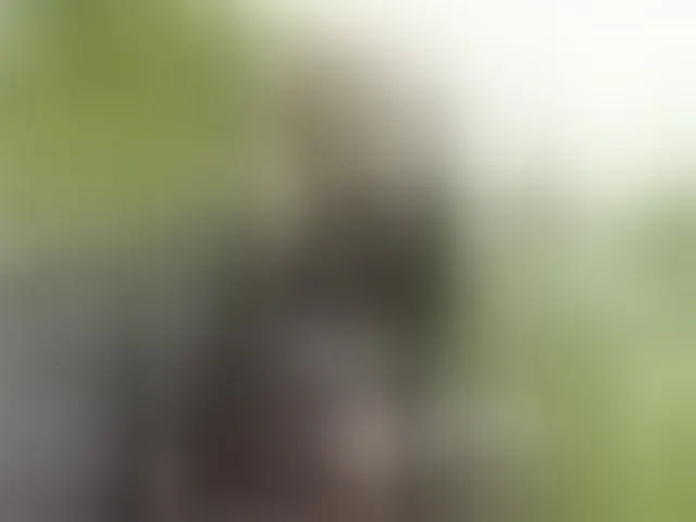 Live sex webcam photo for Janchi- #293613303