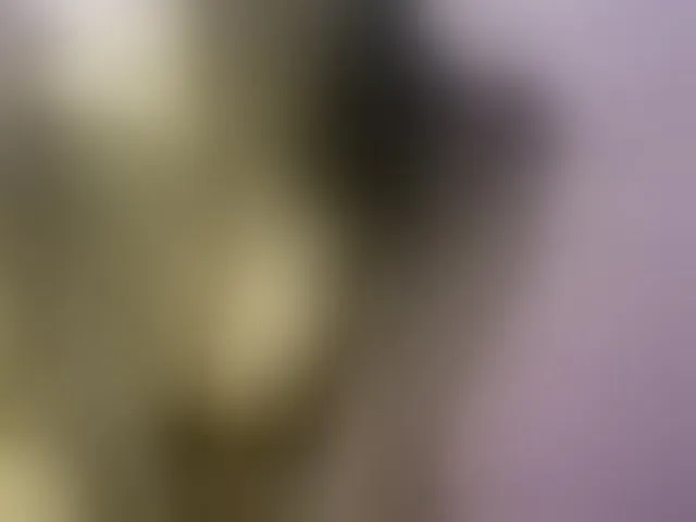 Live sex webcam photo for JangHi-22 #294245088