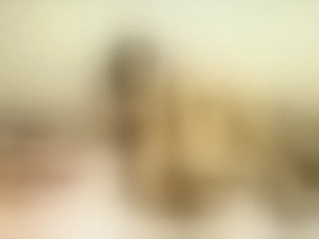 Live sex webcam photo for Jasmine74 #293564500