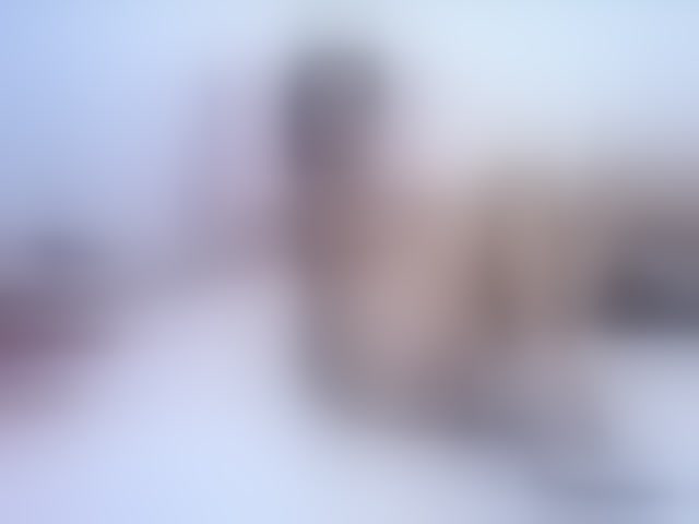 Live sex webcam photo for Jasmine74 #294117158