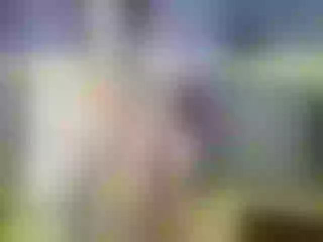 Live sex webcam photo for Jaxonat #276940370
