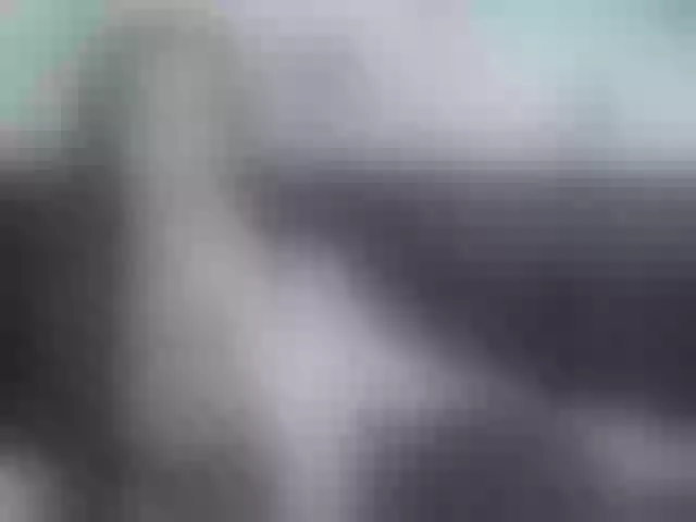 Live sex webcam photo for Jayllene #273602057