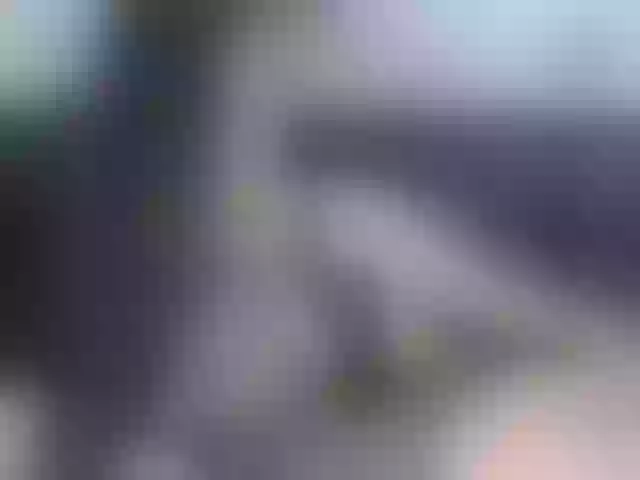 Live sex webcam photo for Jayllene #273803110