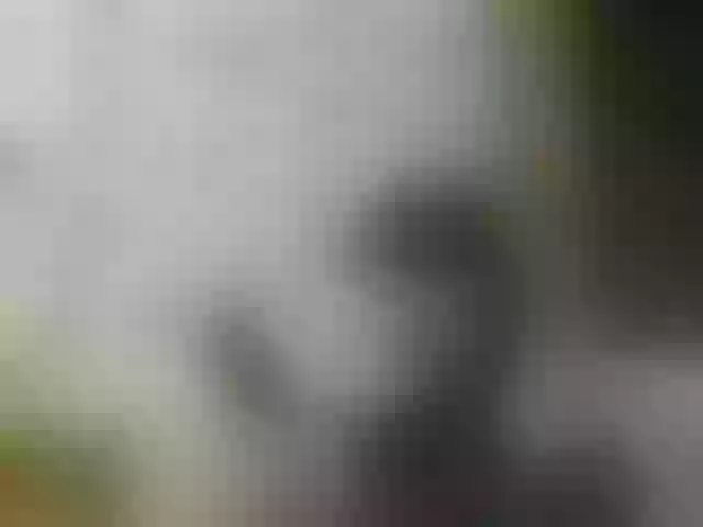 Live sex webcam photo for JeaneDavis #291988276