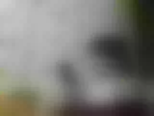Live sex webcam photo for JeaneDavis #292148952