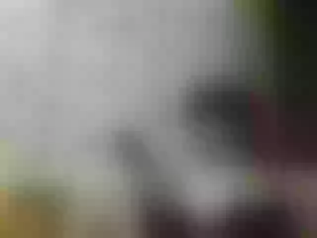 Live sex webcam photo for JeaneDavis #292150631