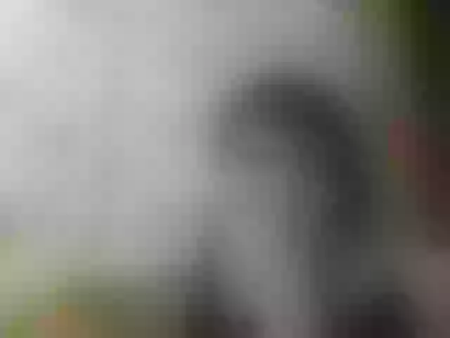 Live sex webcam photo for JeaneDavis #292170413
