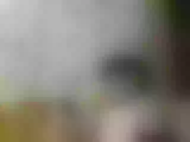 Live sex webcam photo for JeaneDavis #292242860