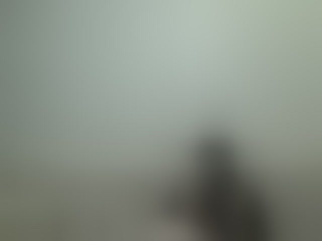 Live sex webcam photo for JeaneDavis #294243506