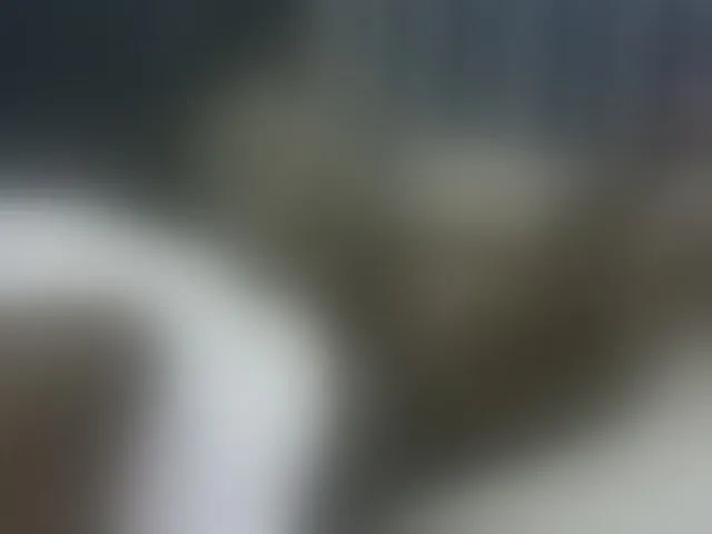 Live sex webcam photo for Jemycute95 #276048176