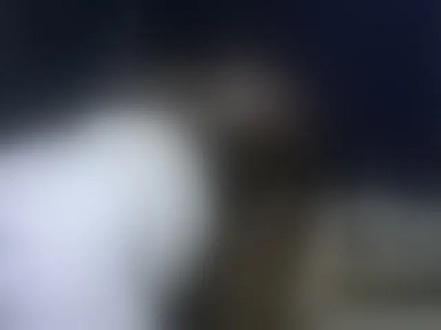 Live sex webcam photo for Jemycute95 #276324592