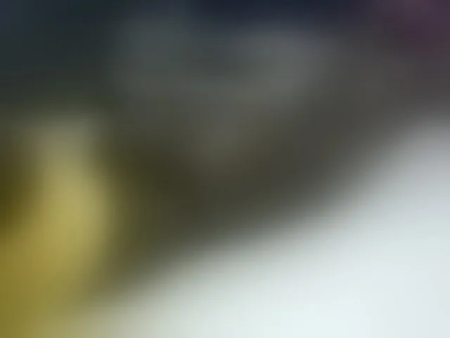 Live sex webcam photo for Jemycute95 #276554949