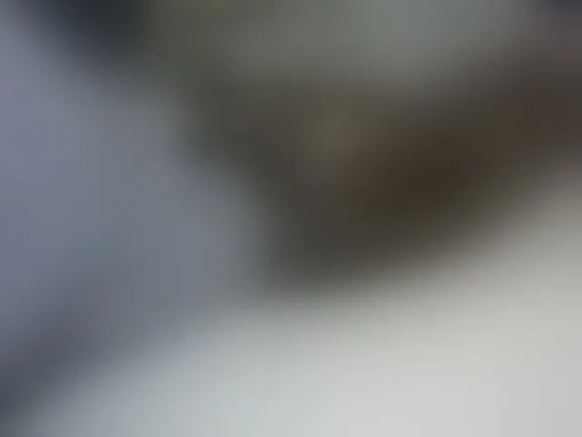 Live sex webcam photo for Jemycute95 #276625195