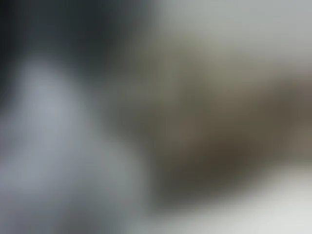Live sex webcam photo for Jemycute95 #276762958