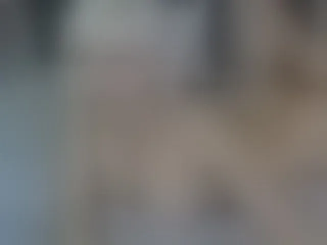 Live sex webcam photo for JeniferS #293472506