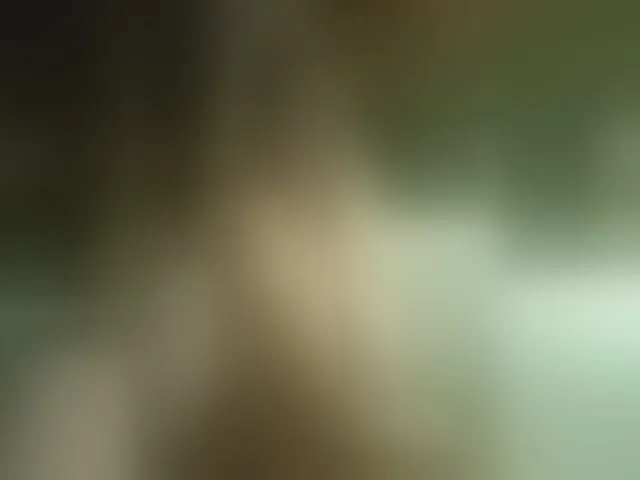 Live sex webcam photo for JennaDeluxe #293873746