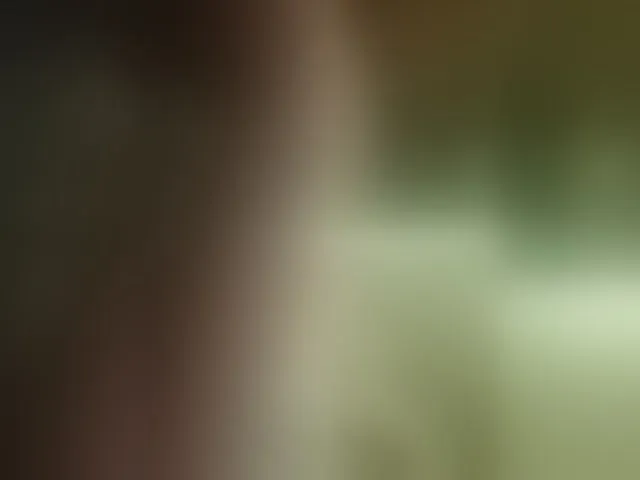 Live sex webcam photo for JennaDeluxe #293896611