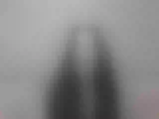 Live sex webcam photo for JenniferLanne #291977567