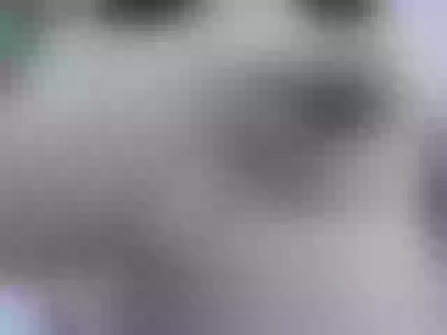 Live sex webcam photo for Jeong18 #285114299