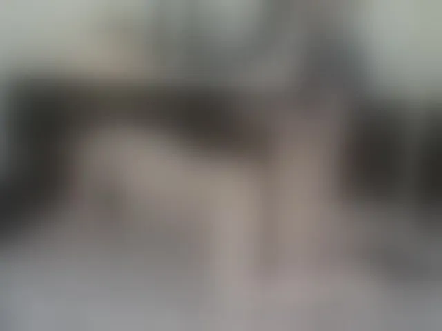 Live sex webcam photo for JeremmyAndStacy #290383328
