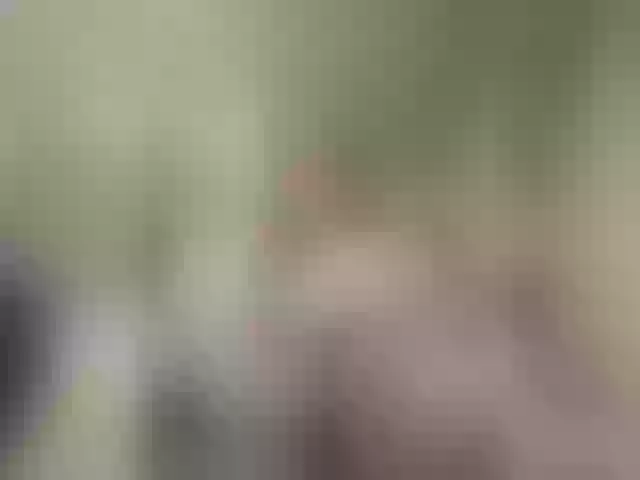 Live sex webcam photo for Jesika-jess00 #273552871