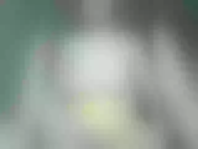 Live sex webcam photo for Jesika-jess00 #273858186