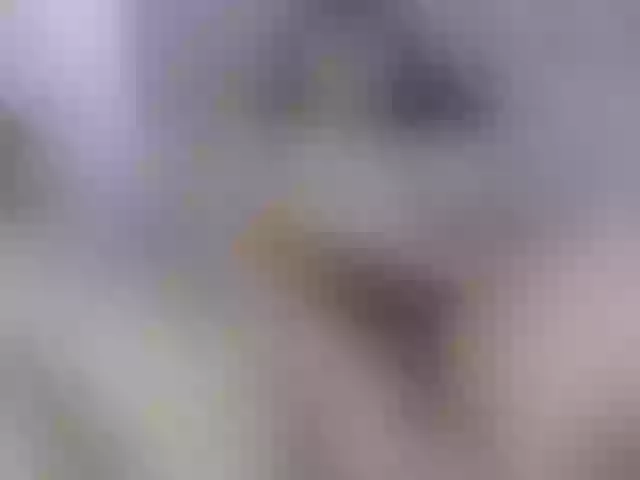 Live sex webcam photo for Jessica-Kraft #290240693