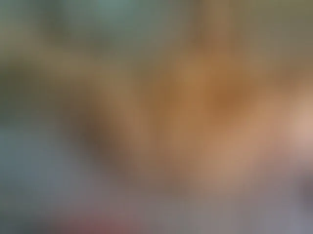 Live sex webcam photo for JessicaHampton #294170456