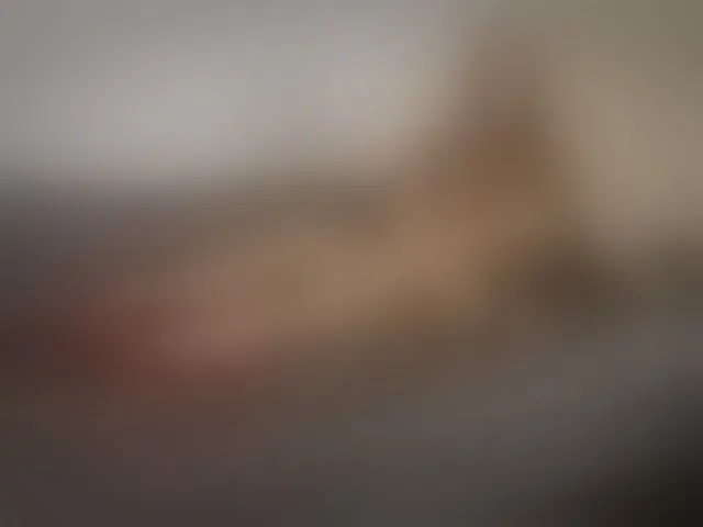 Live sex webcam photo for JessicaLLo #292955812