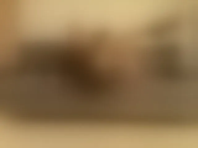 Live sex webcam photo for JessicaLLo #294272224