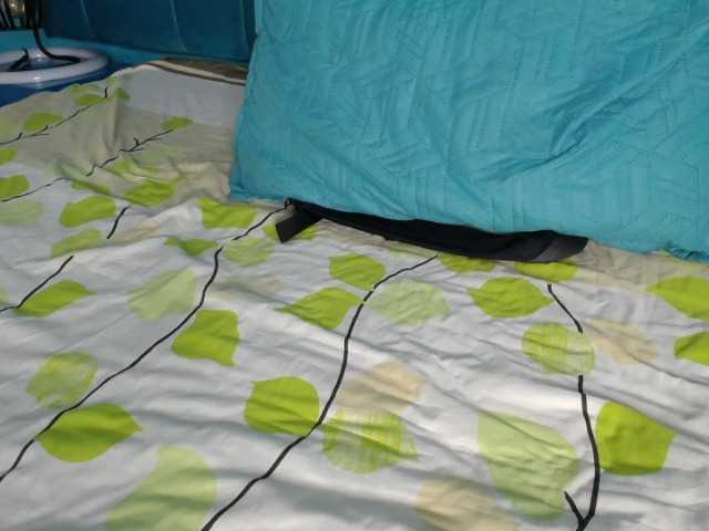 Live sex webcam photo for Jhander- #275955787