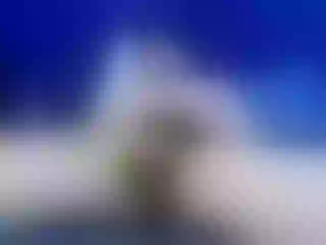 Live sex webcam photo for Jheampiero #291825326