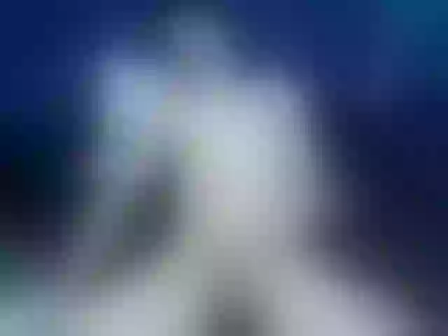Live sex webcam photo for Jheampiero #291861377