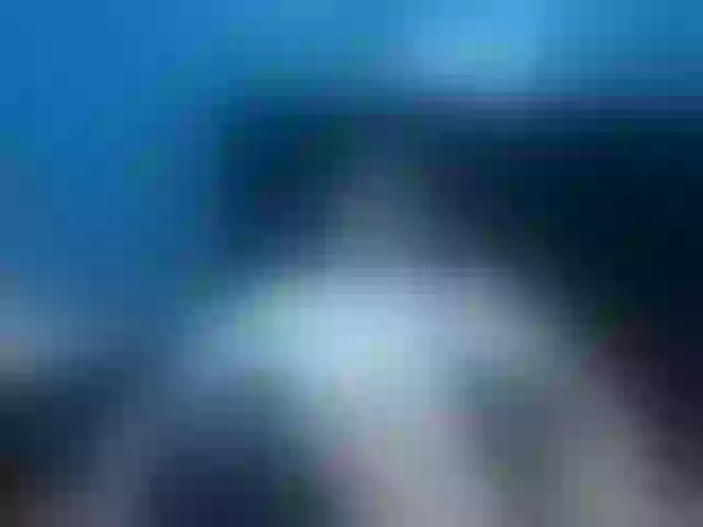 Live sex webcam photo for Jheampiero #292248888