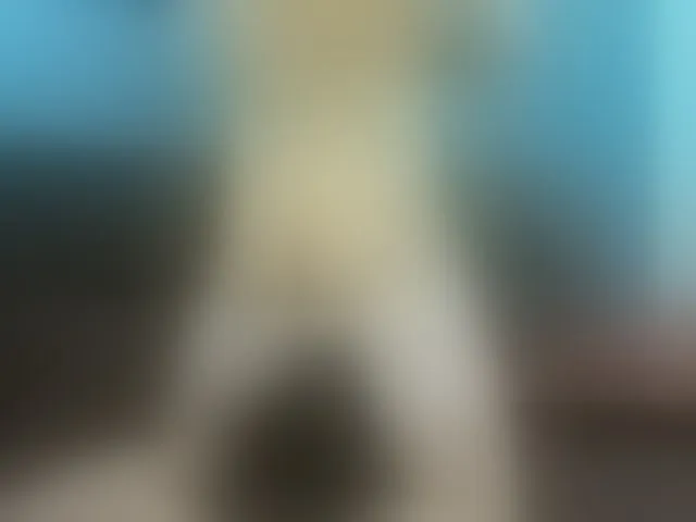 Live sex webcam photo for Jheampiero #292527694