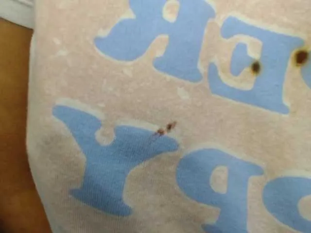 Live sex webcam photo for Jipsya #274261611