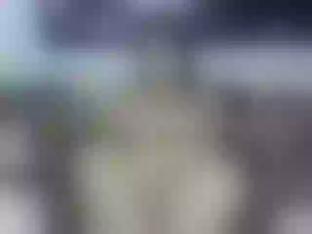 Live sex webcam photo for JoanPolyy #272346544