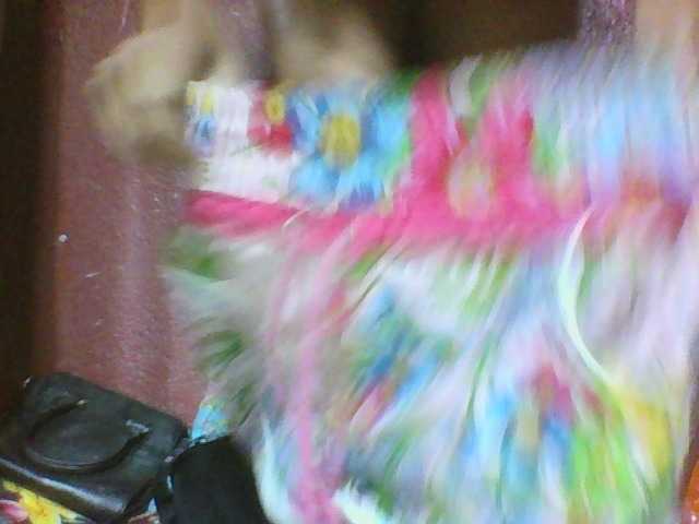 Live sex webcam photo for Johannesexy #278158856