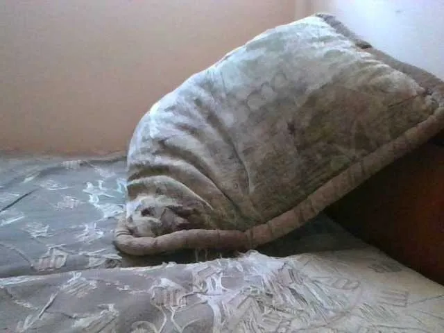 Live sex webcam photo for JohnOre #274512291